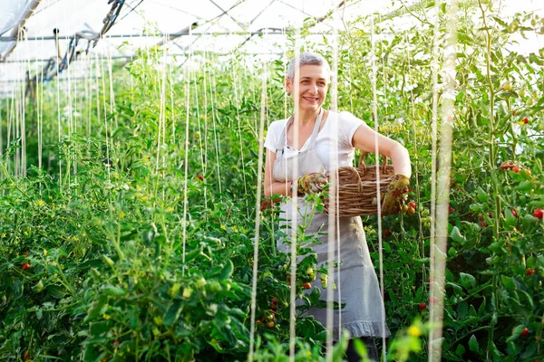 그녀의 유기농 정원에서 — 스톡 사진