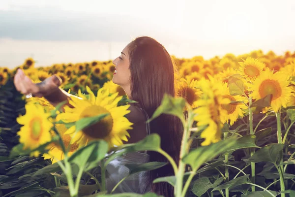 美丽的女孩在日落时分在向日葵的田野上享受大自然 — 图库照片
