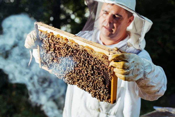 Včelař Kontroluje Včelařský Rámeček Včelíně Letní Den — Stock fotografie