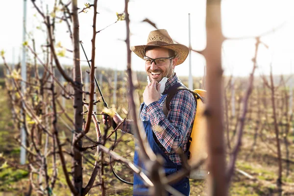 Farmer Spraying Plants Pesticide Pump Sprayer Agricultural Concept — Stock Photo, Image