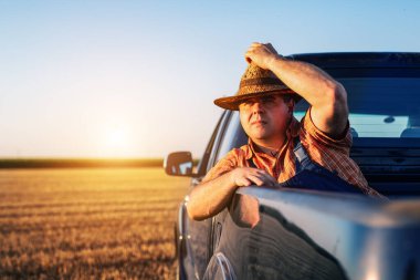 Çiftçi kamyonun arkasında oturuyor..