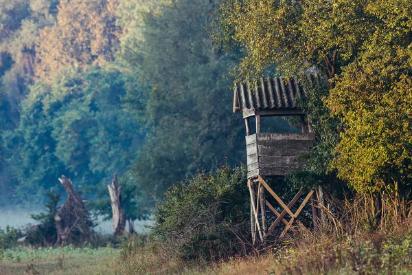 Çayır Orman Arasında Kulesi — Stok fotoğraf