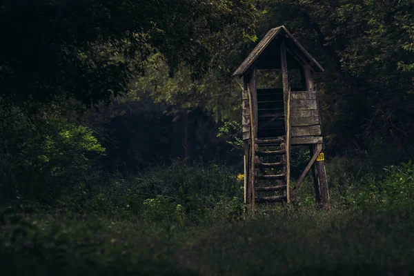 Lovecká Věž Mezi Loukou Lesem — Stock fotografie