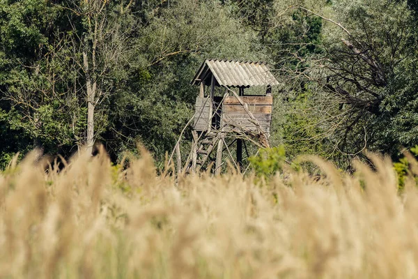 Torre Caza Entre Prado Bosque — Foto de Stock