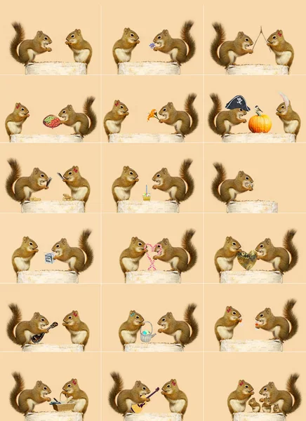 Picture Story Two Cute Squirrels Doing Things Together Love Story Royalty Free Stock Photos