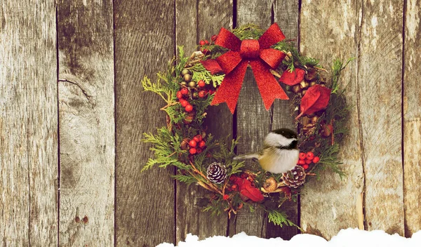 Chickadee Σκαρφαλωμένο Ένα Στεφάνι Χριστουγέννων Έξω Χειμώνα Royalty Free Εικόνες Αρχείου
