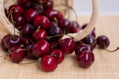 Olgun kiraz bir hasır sepet dökülür.