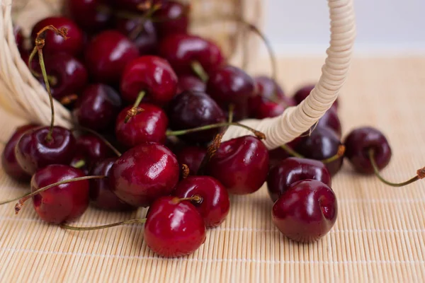 Olgun kiraz bir hasır sepet dökülür.