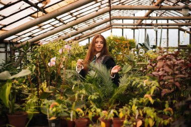 Elinde sihirli değnekle genç büyücüler okulundan bir kız. Yeşil büyü. Bir büyücü seradaki bitkiler arasında hokkabazlık yapar, botanik dersi ise kostümdür..