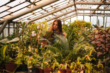 Elinde sihirli değnekle genç büyücüler okulundan bir kız. Yeşil büyü. Bir büyücü seradaki bitkiler arasında hokkabazlık yapar, botanik dersi ise kostümdür..
