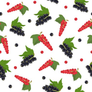 Siyah ve kırmızı üzümlü pürüzsüz desen. Beyaz arka plan, tecrit. Vektör