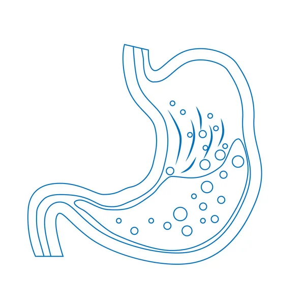 Estómago Humano Icono Del Contorno Vector Del Sistema Digestivo — Archivo Imágenes Vectoriales