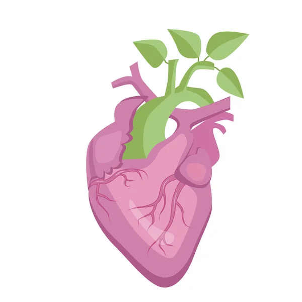 Corazón Humano Sistema Circulatorio Concepto Saludable Del Corazón Vector — Archivo Imágenes Vectoriales