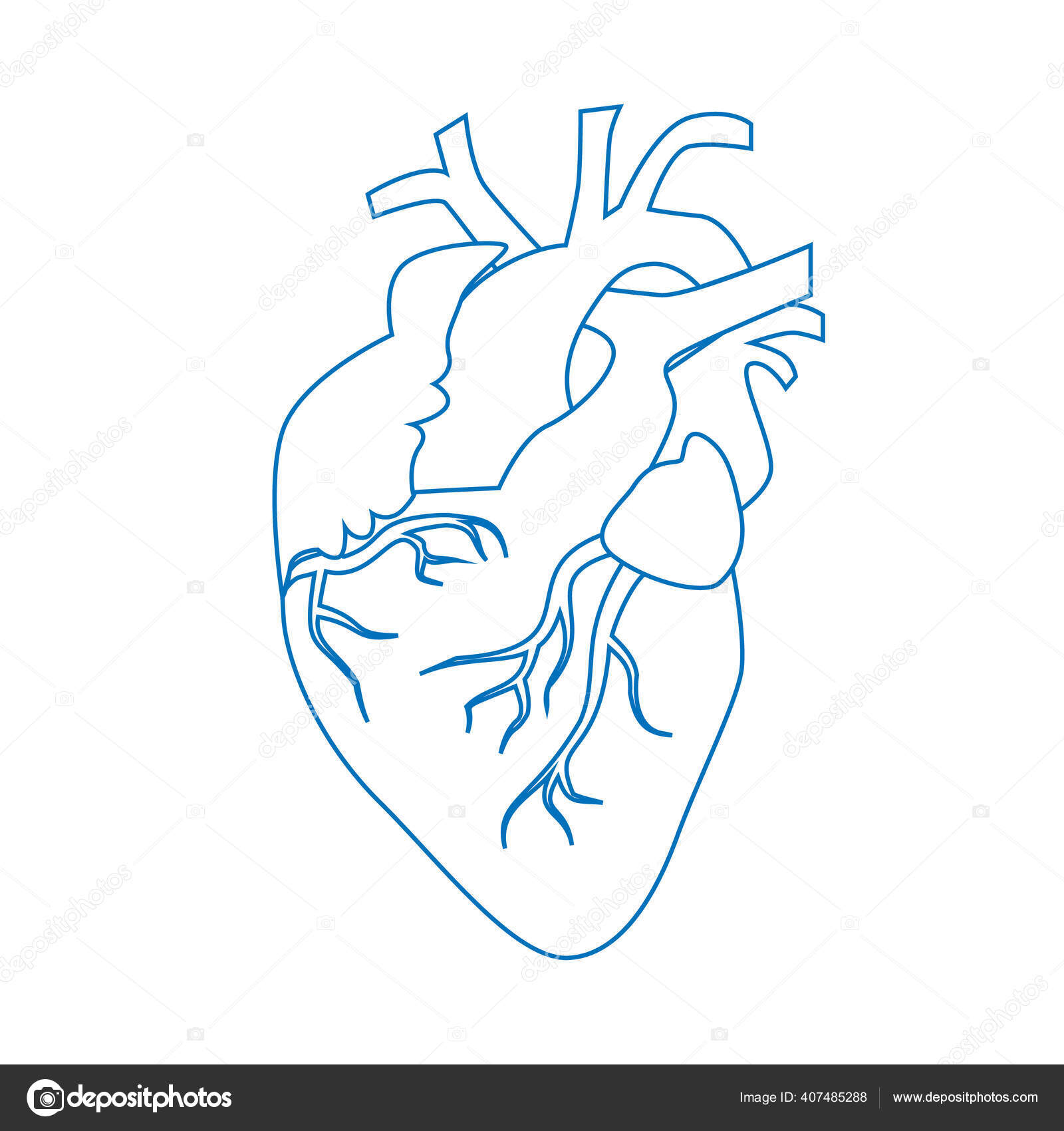 인간의 순환계 아이콘 스톡 벡터 - ©ElenaPreo 407485288, image size:1600x1700