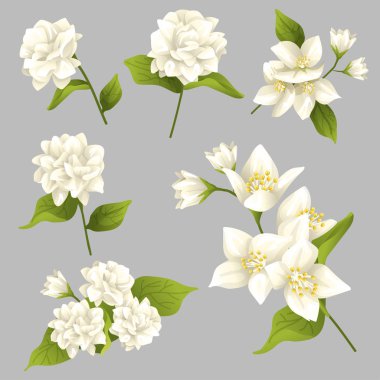 Mutlu Tay anneler günü öğeleri: vektör çizim