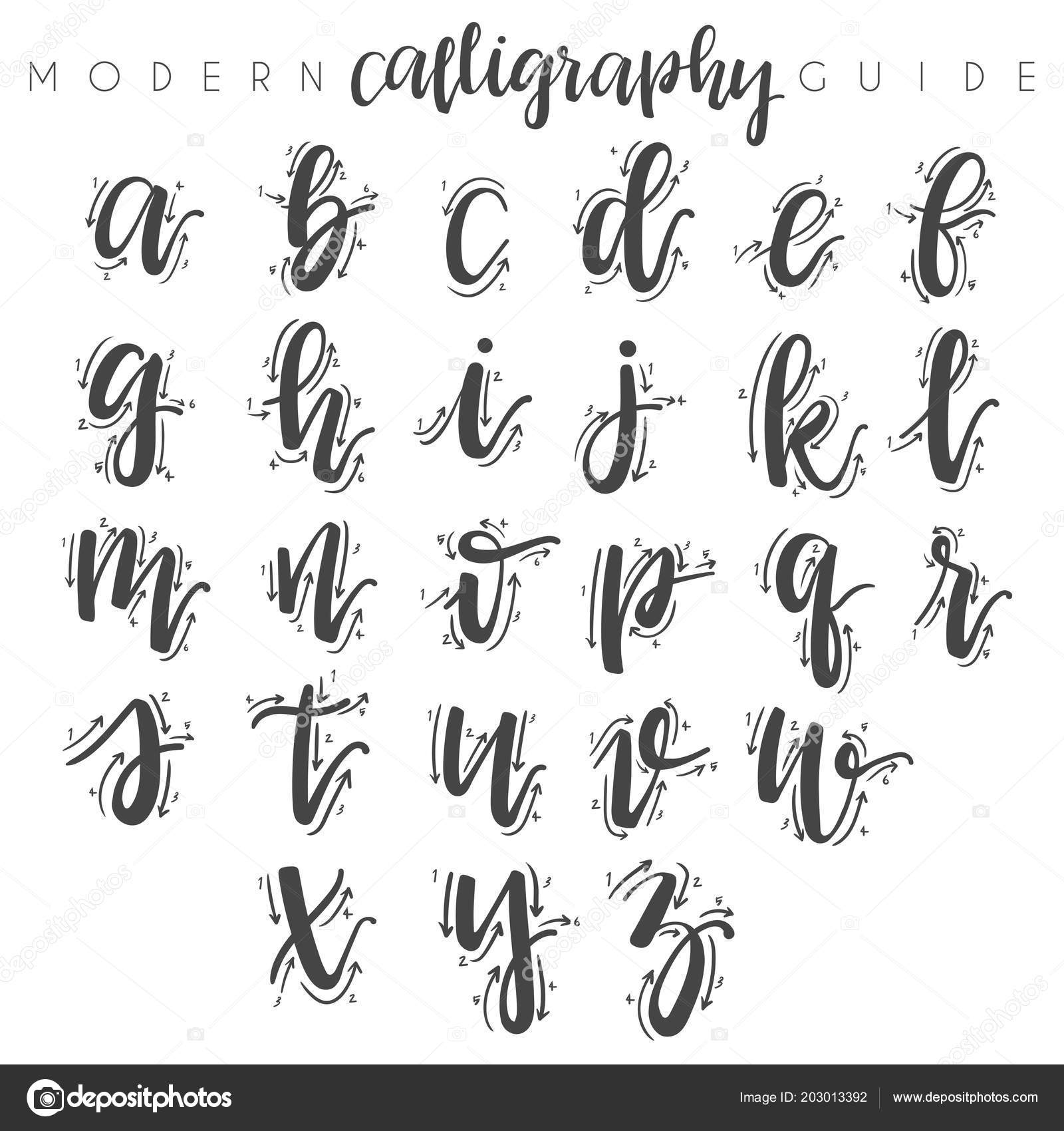 Modern Calligraphy Guide Vector Illustration Stock Vector by ©daraon  203013392