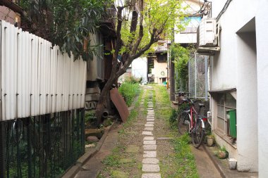 Yolu sakin yerleşim bölgesinde, Tokyo, Japonya