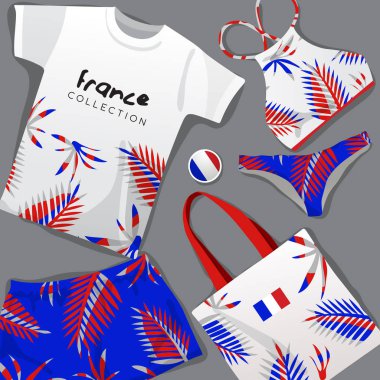 Ulusal Beachwear kümesi: Fransa: vektör çizim
