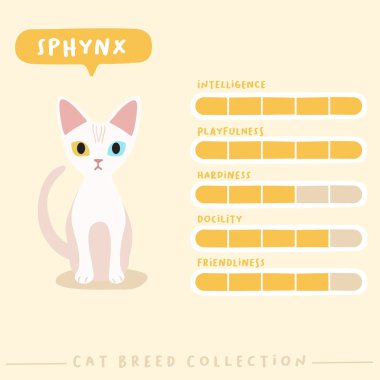 Sevimli kedi profilini düz şekilde üretir: Vektör İllüzyonu