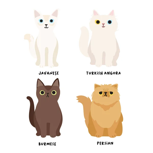 Conjunto Adorables Razas Gatos Estilo Plano Vector Illustration — Archivo Imágenes Vectoriales