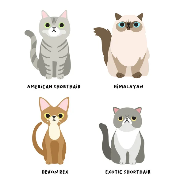 フラットスタイルで愛らしい猫の品種のセット ベクトルイラスト — ストックベクタ