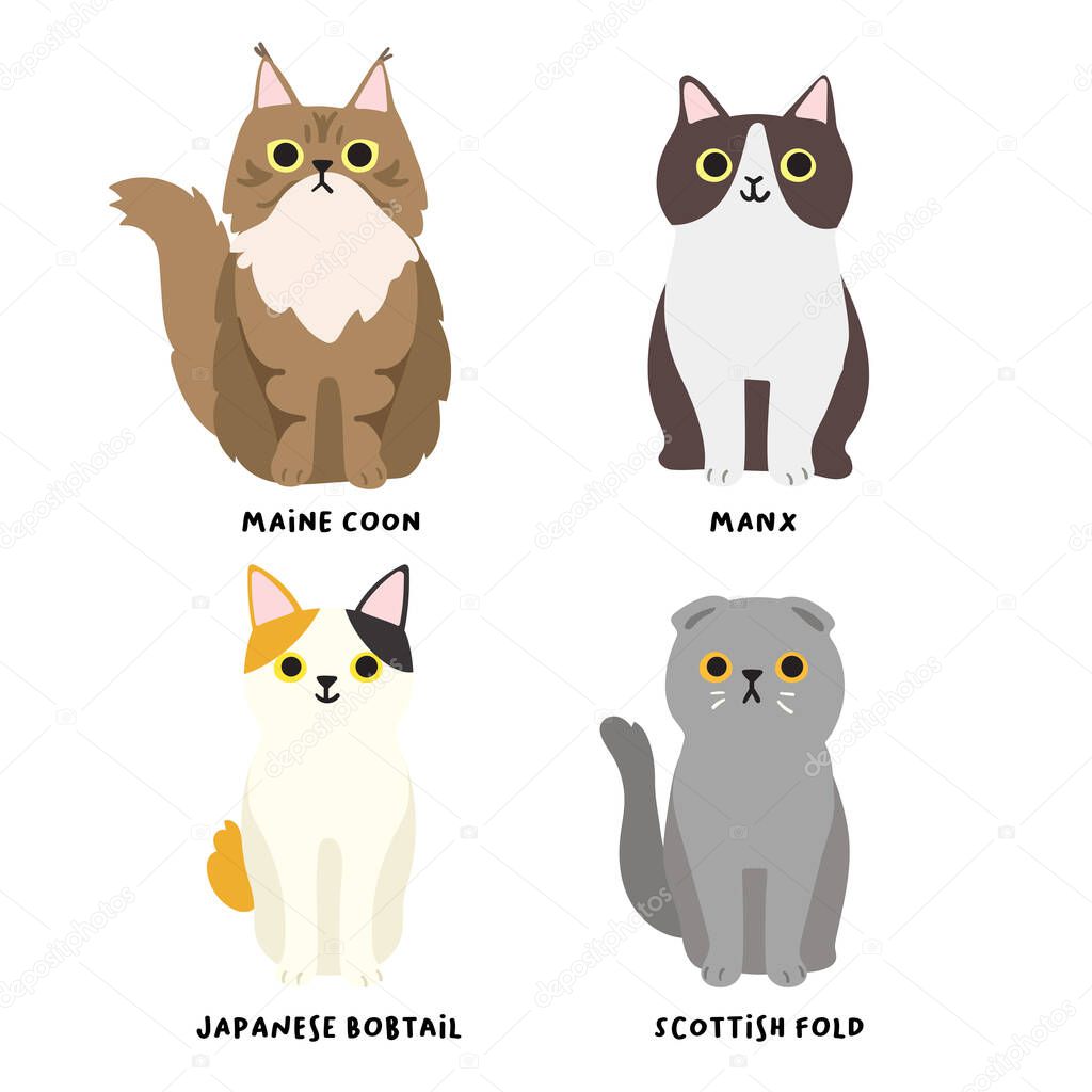Set of adorable cat breeds in flat style : Vector Illustration