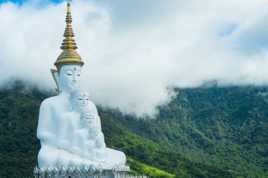 Wat Pha Sorn Kaew Tapınağı'nda veya Khao Kho'daki Wat Phra Thart Pha Kaew Tapınağı'nda oturan beş Beyaz Buda heykeli, Phetchabun Eyaleti, Tayland.