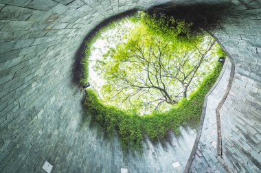 Fort Canning Park, Singapur tünelde yeraltı geçiş büyük yeşil ağaç ve spiral merdiven. Singapur seyahat için dönüm noktası.