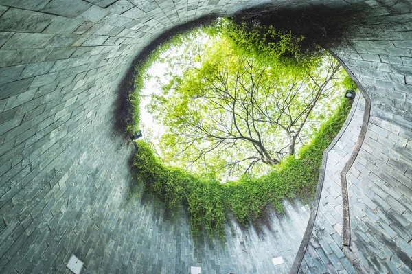 Fort Canning Park, Singapur tünelde yeraltı geçiş büyük yeşil ağaç ve spiral merdiven. Singapur seyahat için dönüm noktası.