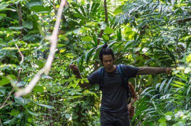Ormanda yürüyen gezginler. Ormanda sık sık yürüyüş yapan iki adam. Seyahat, dinlenme, yürüyüş ve tatil konsepti.