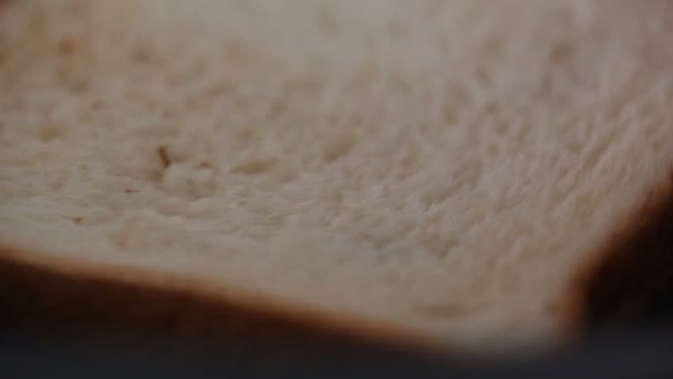 Close Pedaço Pão Torrado — Vídeo de Stock