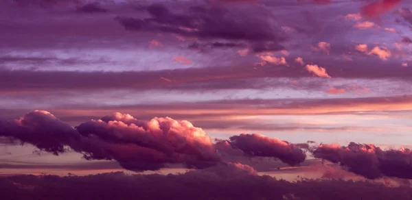 Pink and Purple Sky Background