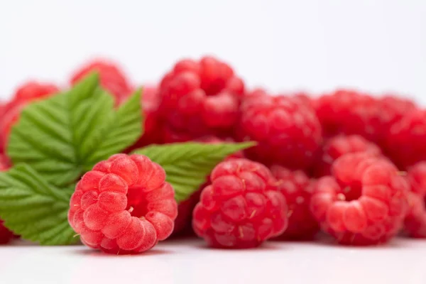 Ripe Raspberry Green Leaves — Stock Photo, Image