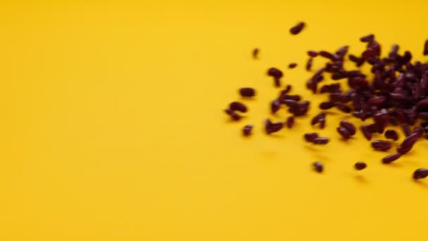 Beans Drop Yellow Background — Stock Video