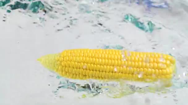 Corn Cob Water Splash — стоковое видео