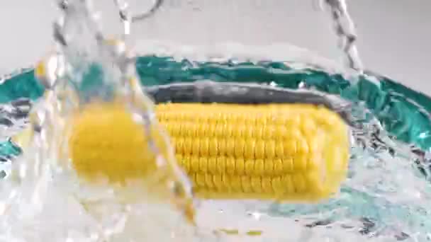 Corn Cob Water Splash — Stock Video