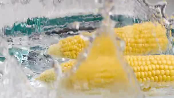 Corn Falling Water Splash — Stockvideo
