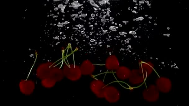 Świeże Wiśnie Wpadające Wody — Wideo stockowe