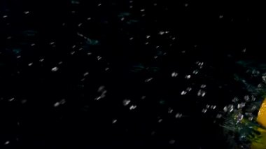 Su Sıçratma 'da limon ve limon.