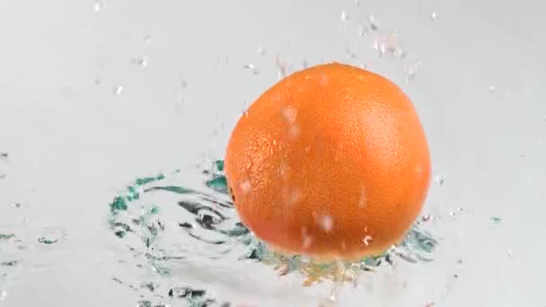 Grapefruit Drop Water Splash — Videoclip de stoc