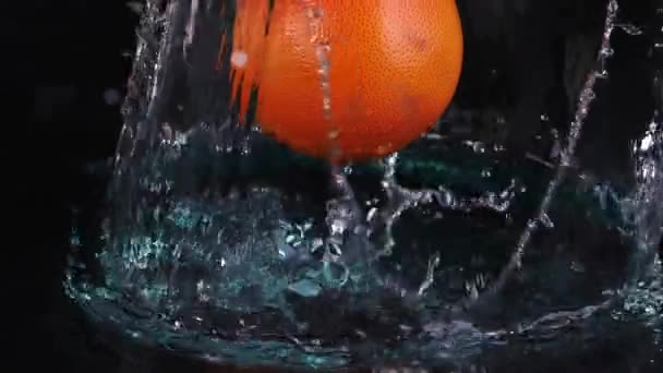 Grapefruit Kapka Vodu Splash — Stock video