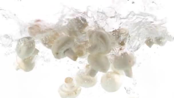 Funghi Freschi Che Cadono Nell Acqua — Video Stock