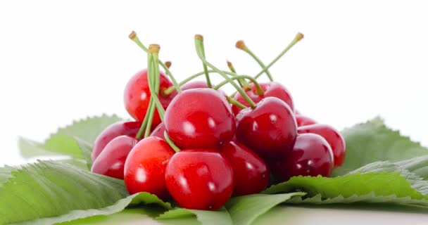 Fresh Cherry Red Organic Cherries — Stock Video