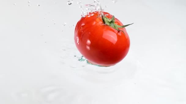 Pomodori Che Cadono Spruzzi Acqua — Video Stock