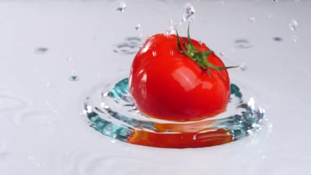 Tomates Caindo Respingo Água — Vídeo de Stock