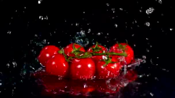 Pomidory Wpadające Wody — Wideo stockowe