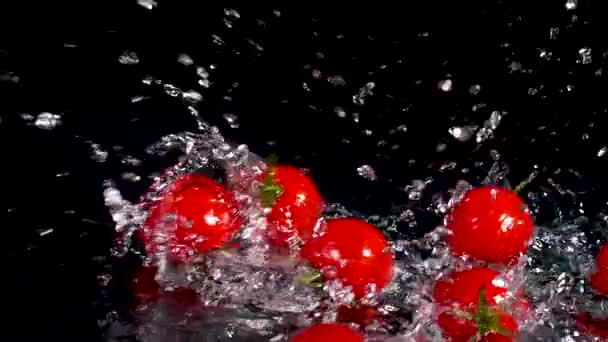 Tomatoes Falling Water Splash — стоковое видео