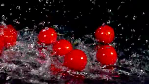 Pomodori Che Cadono Spruzzi Acqua — Video Stock