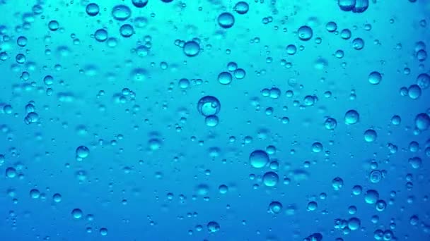 Blue Water Bubbles Macro Video — Stock Video