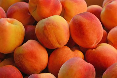 Bir demet şeftali üst üste yığılmış. Şeftaliler olgunlaştı ve turuncu parlak bir renge sahipler.